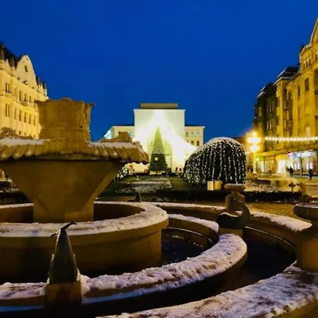 Apartment Joy City Victoriei 3-18 *