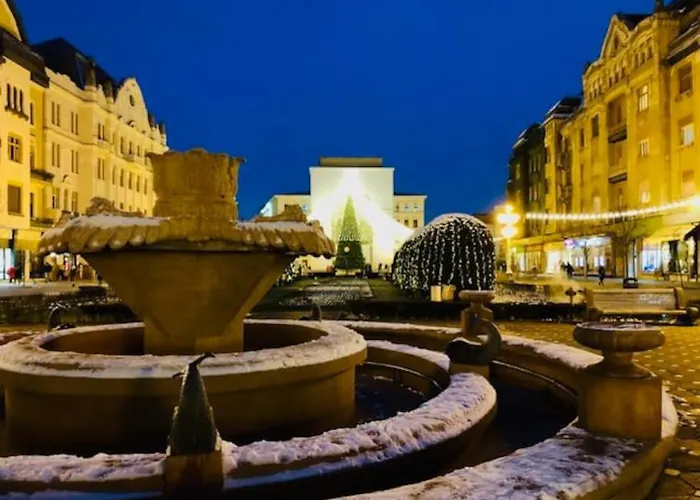 Apartment Joy City Victoriei 3-18 *